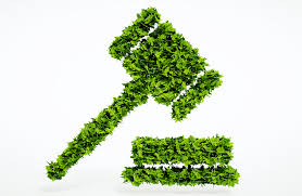 Regulación y Fiscalización Ambiental - AMB-008