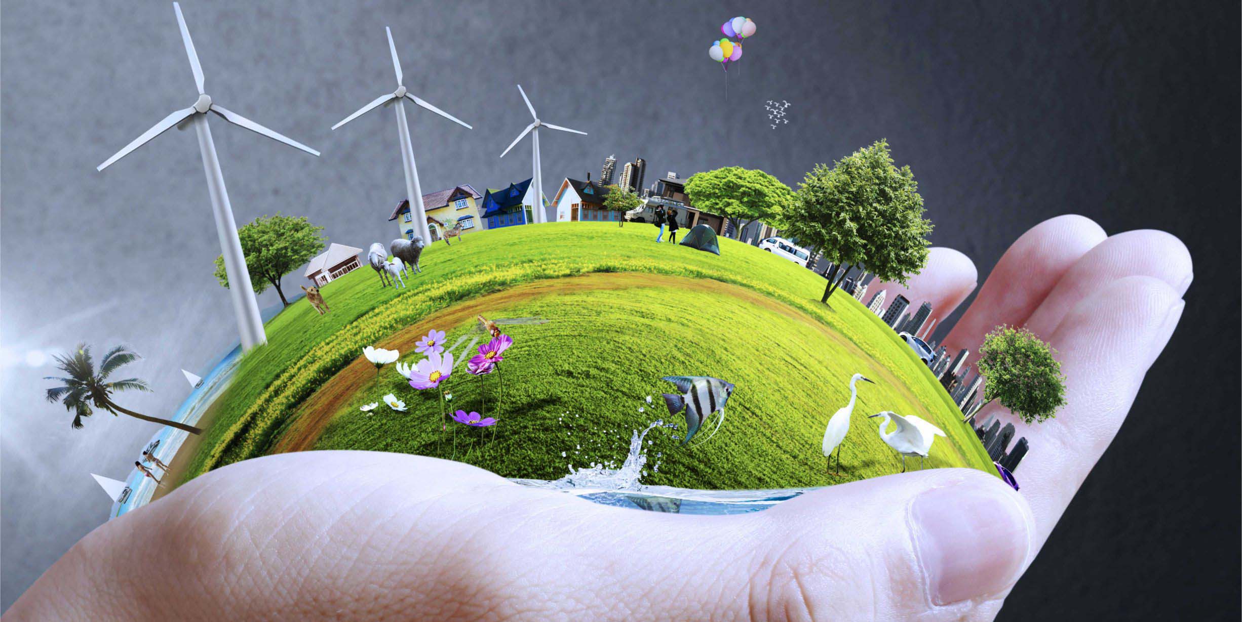 Desarrollo Sostenible - AMB-013