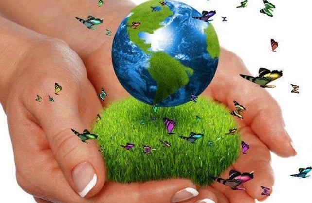 Ingeniería Ambiental - AMB-020