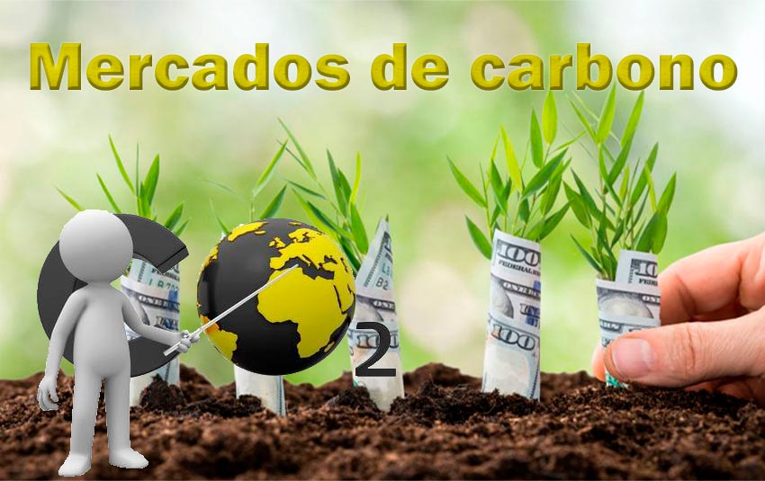 Mercado de Carbono -AMB-025