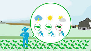 Manejo Integrado de Plagas-AMB-031