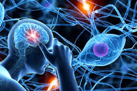Neuropsicología clínica -SPS-010