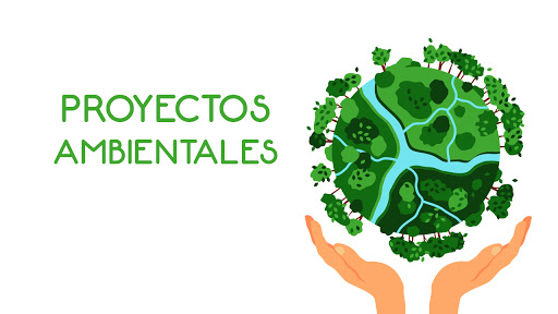 Formulación, Gestión & Evaluación de Proyectos Ambientales - AMB-004